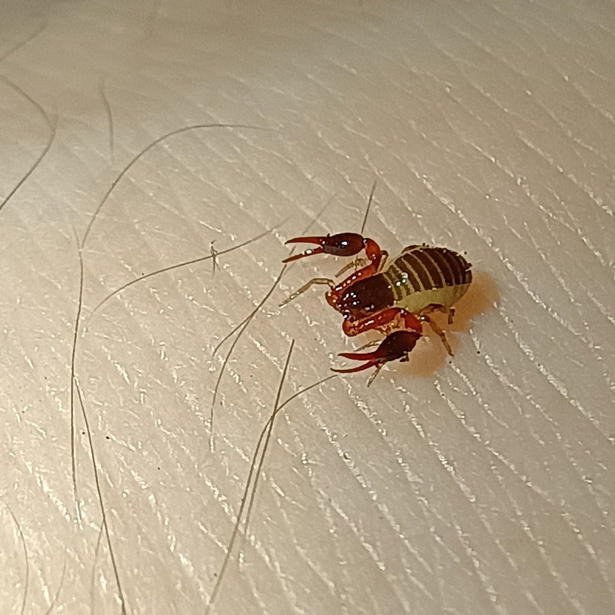 lee !!!! 1st lawboots shipper ever tweet media