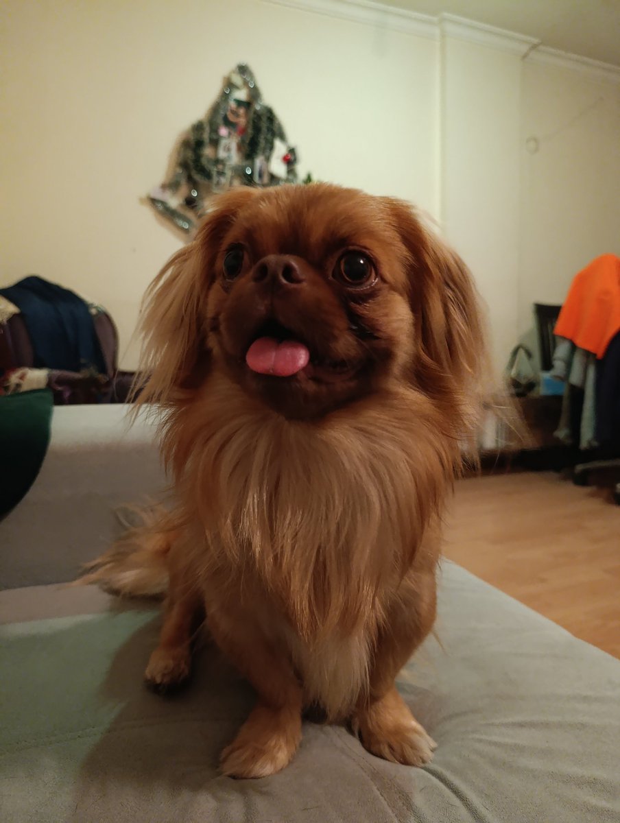 Evakuş 🌸 tweet media