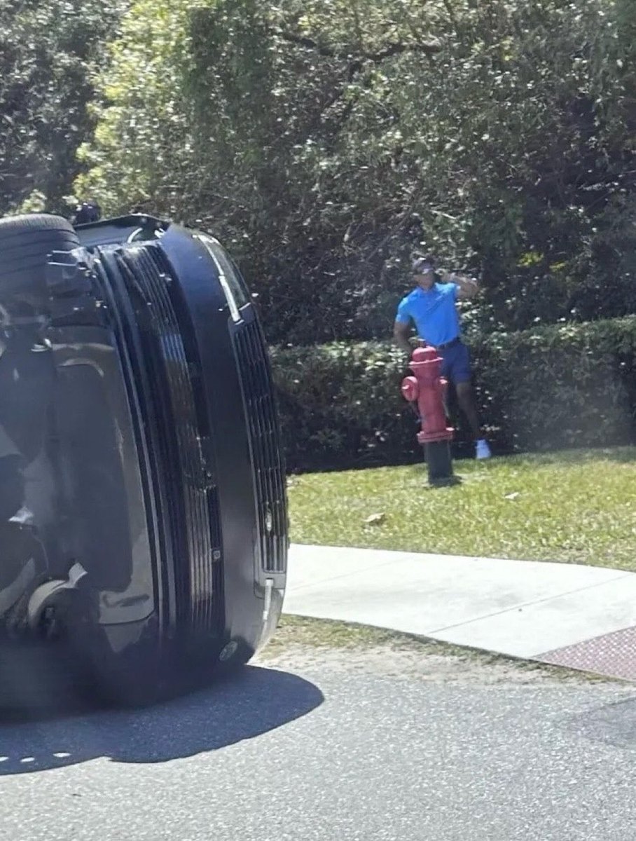 Tiger Woods Memes tweet media