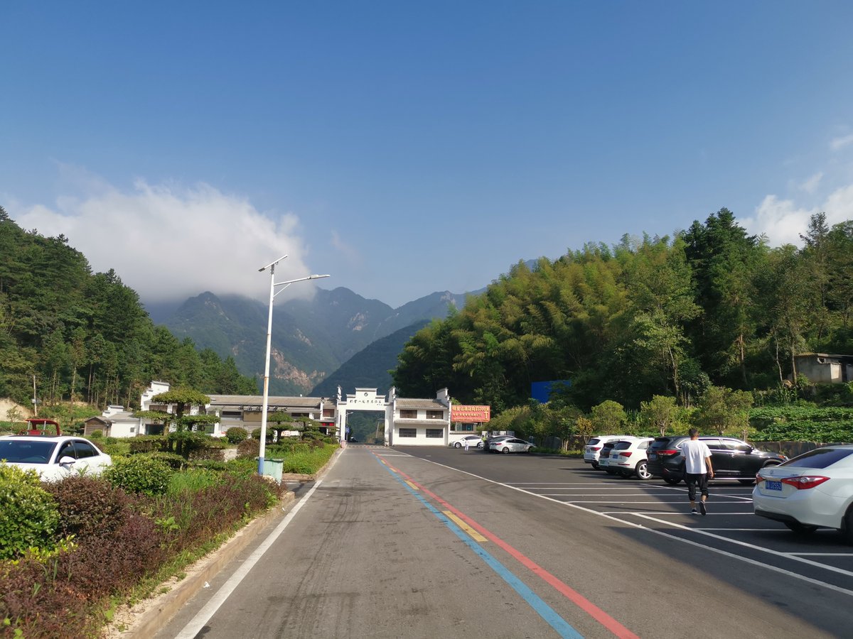 Björn Peters tweet media