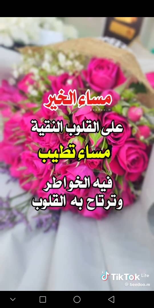 رياض ابن الحيدري tweet media