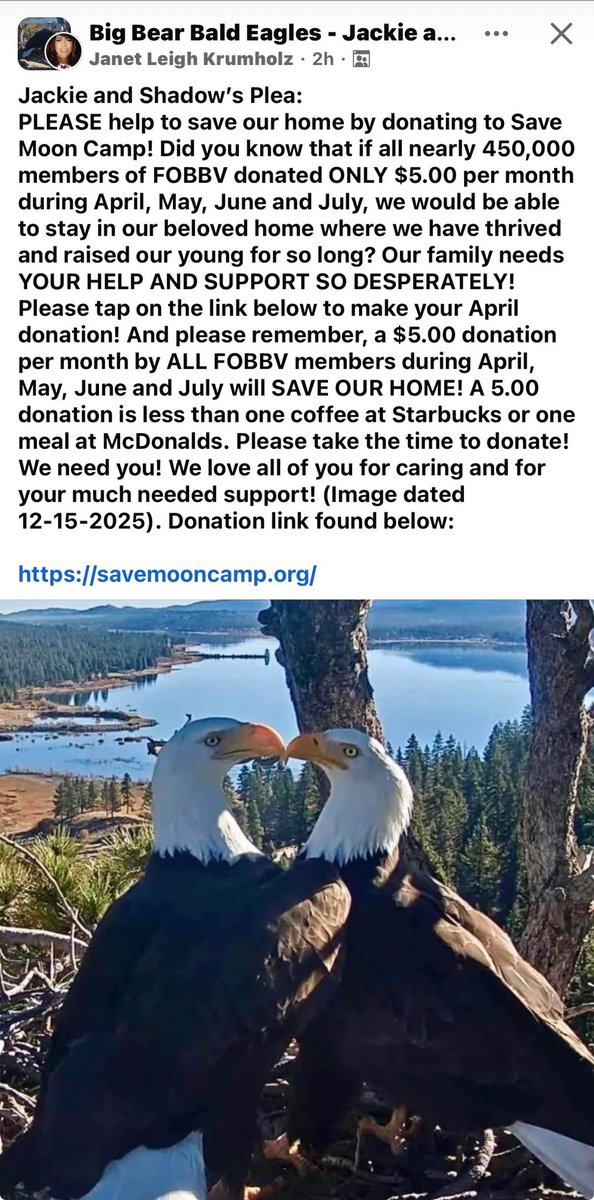 ropinfool3843's tweet photo. @elonmusk Elon  please make a donation to save https://t.co/CkcREreogN save Jackie and shadow the Bald eagles nesting above big bear,  thank you https://t.co/nUyOIqoD0V
