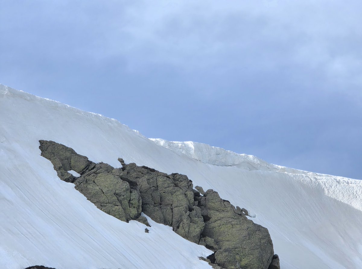 CanenciaEnFotos's tweet photo. La primavera irrumpe en la Sierra de Guadarrama y las grandes acumulaciones de nieve de este invierno van perdiendo espesor día a día. Calima y ventisqueros bien cargados desde El Nevero. Abril 2026. https://t.co/7DT5EVPYkn