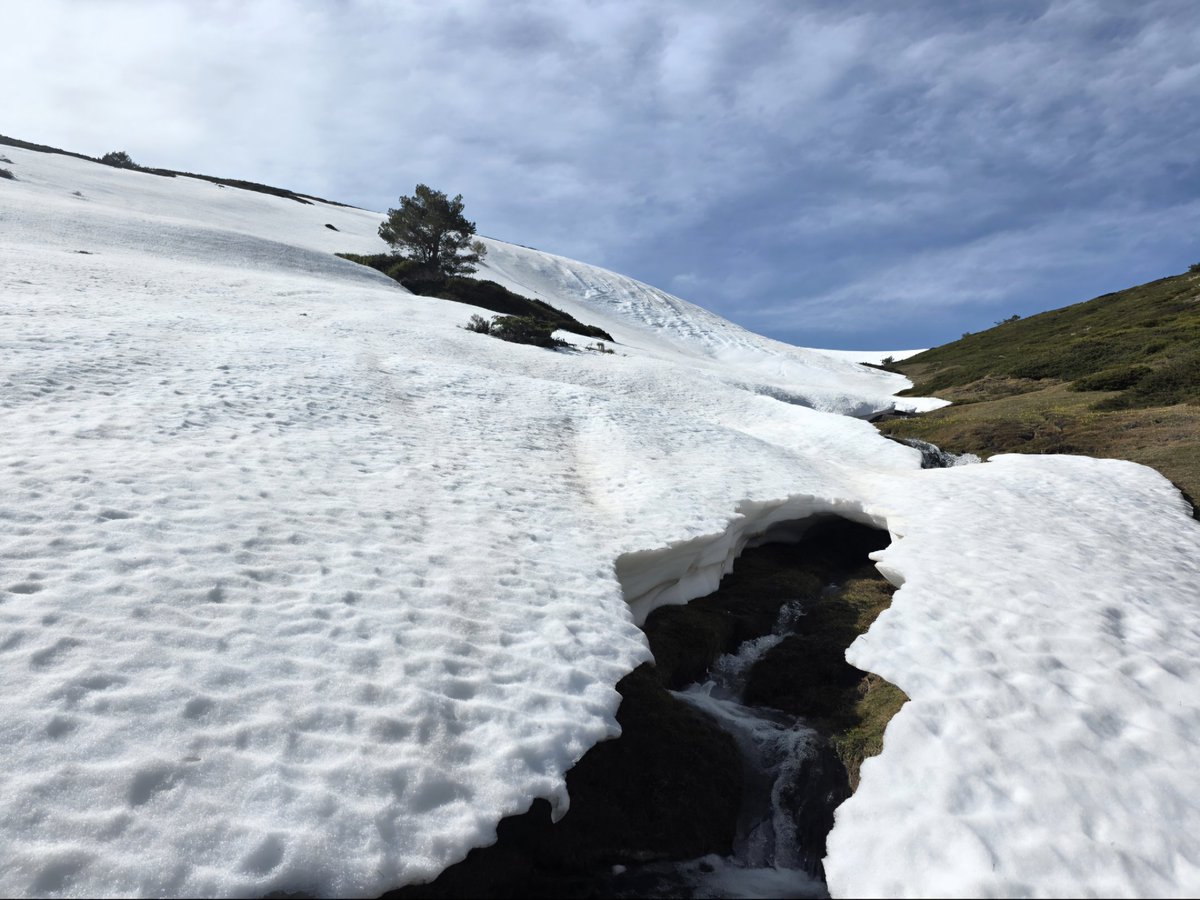 CanenciaEnFotos's tweet photo. La primavera irrumpe en la Sierra de Guadarrama y las grandes acumulaciones de nieve de este invierno van perdiendo espesor día a día. Calima y ventisqueros bien cargados desde El Nevero. Abril 2026. https://t.co/7DT5EVPYkn