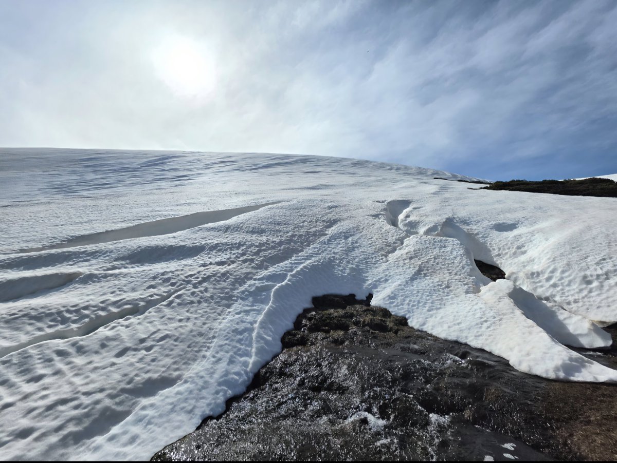 CanenciaEnFotos's tweet photo. La primavera irrumpe en la Sierra de Guadarrama y las grandes acumulaciones de nieve de este invierno van perdiendo espesor día a día. Calima y ventisqueros bien cargados desde El Nevero. Abril 2026. https://t.co/Sy1WNeOIeK
