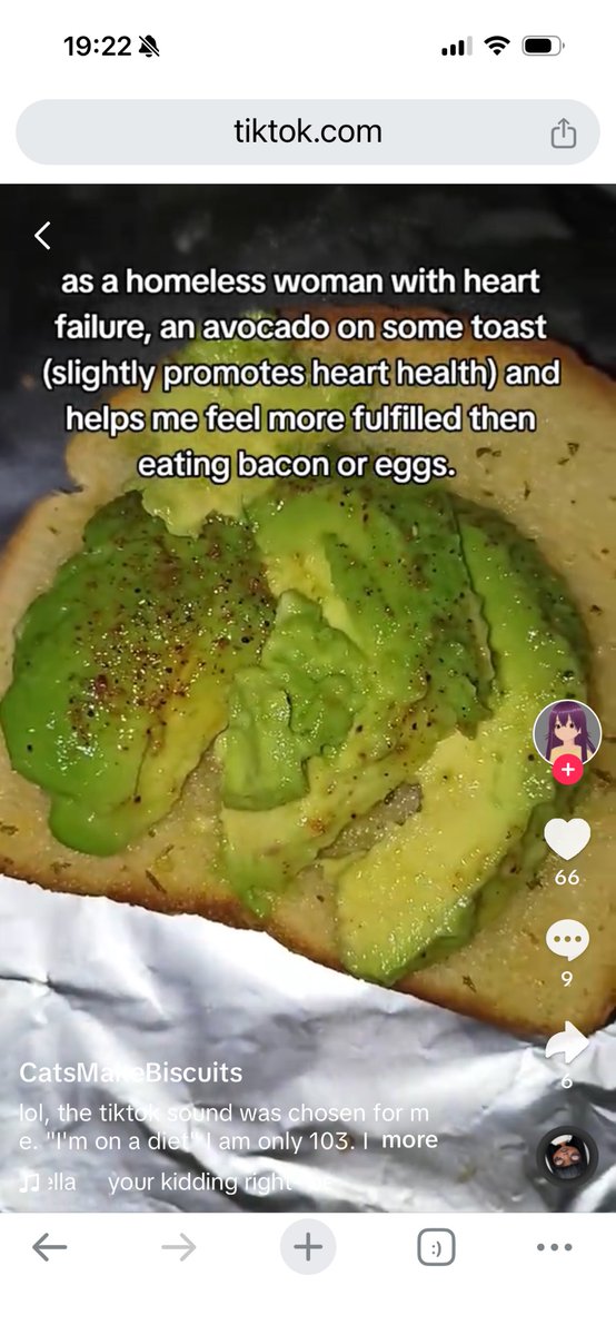 Catsoignolithec❤️nt tweet media