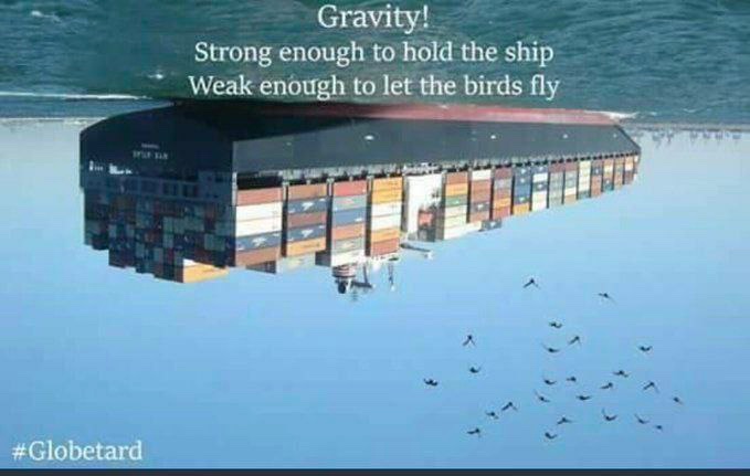 <a href="/doqholliday/">DOQ</a>