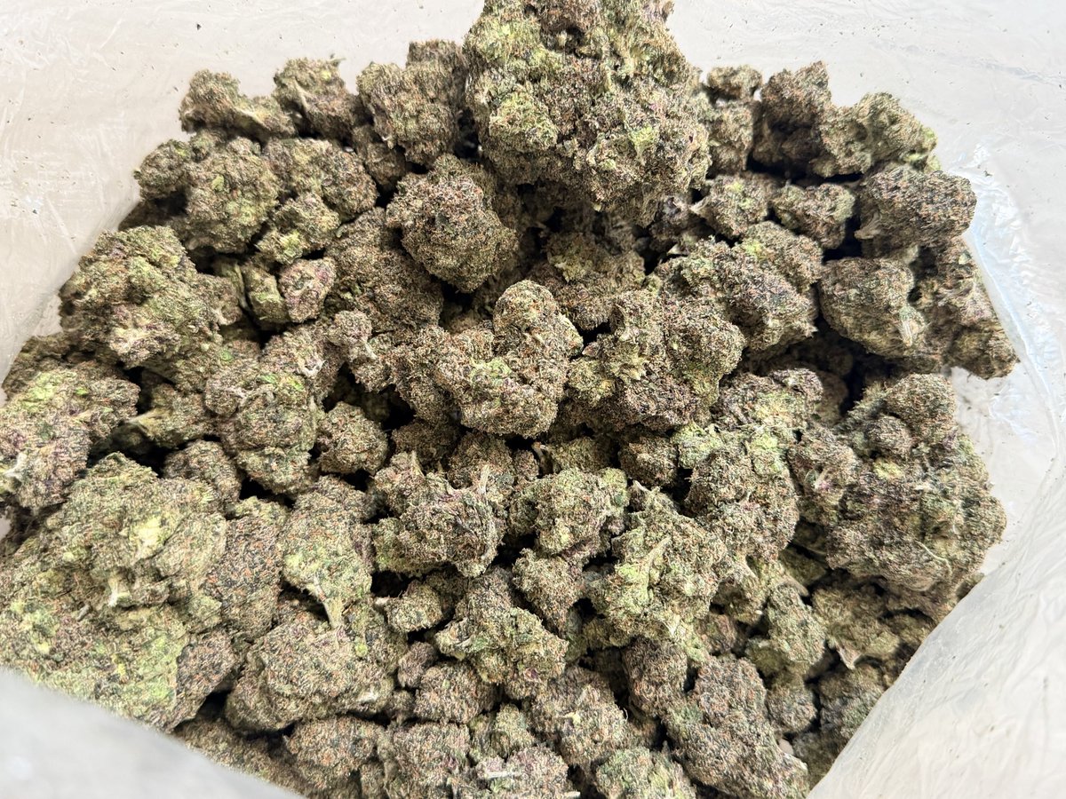 PGH_EXOTIC's tweet image. NEW EXOTIC FLAVOR..
SOUR BERRY 🍬
(10/10 nose n taste) (top shelf exotic)
Zip 130
HIT THE DM #pittsburghweed #nocontactdelivery #PGH #Pittsburgh #za
#bud