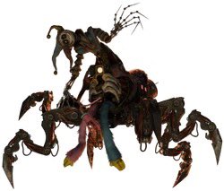 OLLIE ☆彡 tweet media