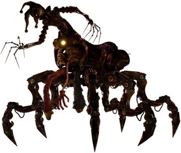 OLLIE ☆彡 tweet media