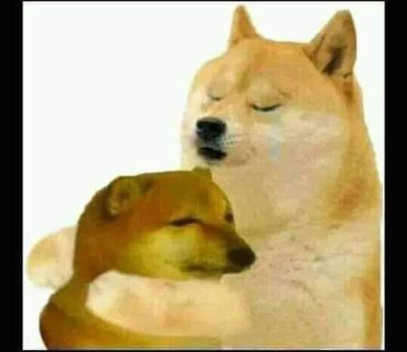 மதி ☾ ♡ tweet media