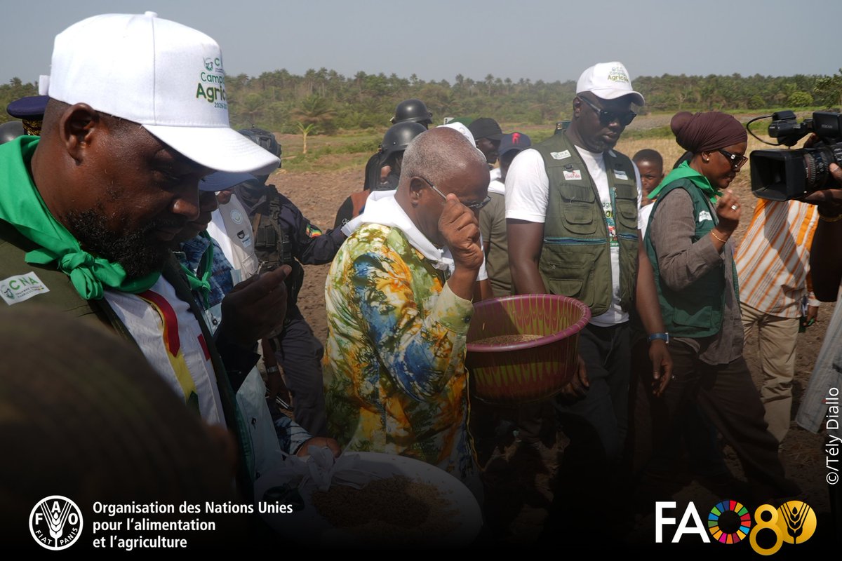 FAO Guinée tweet media