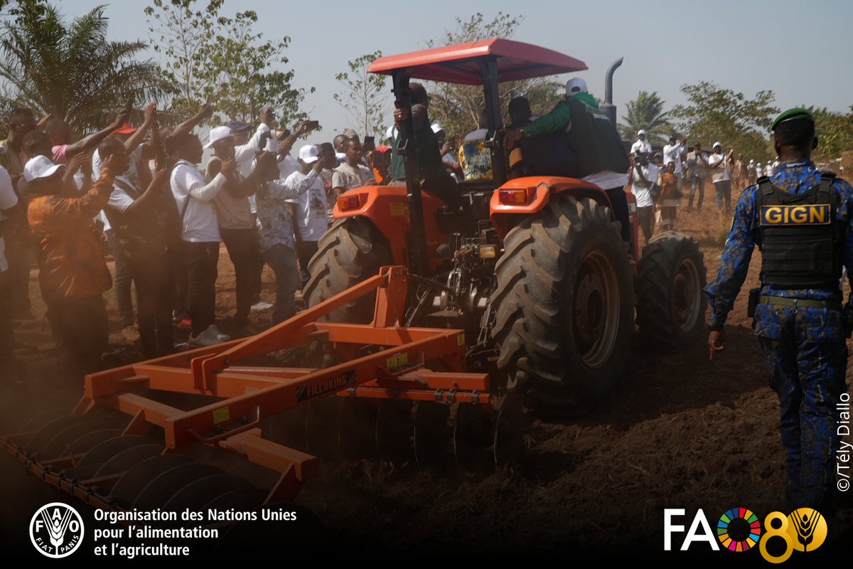 FAO Guinée tweet media