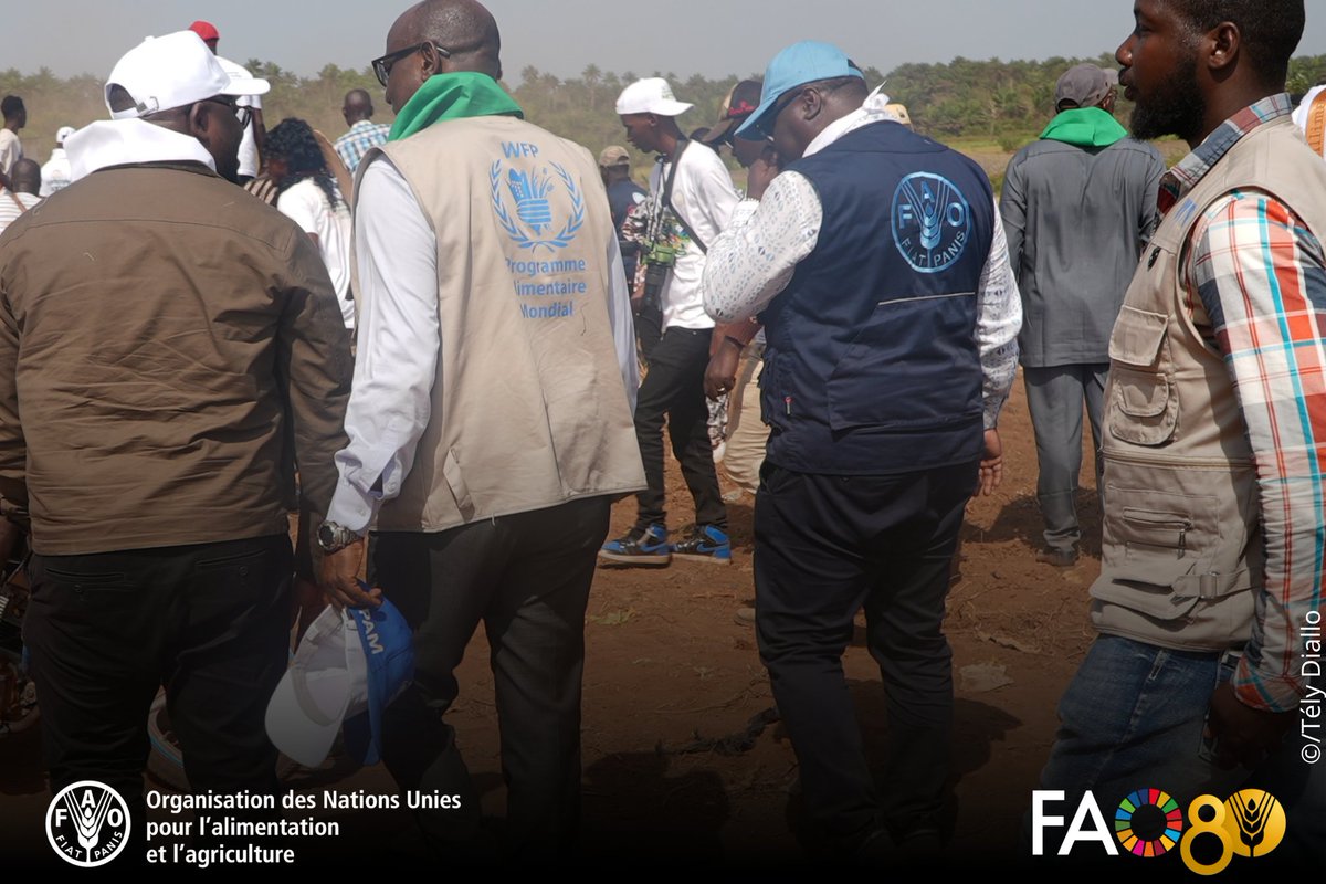 FAO Guinée tweet media