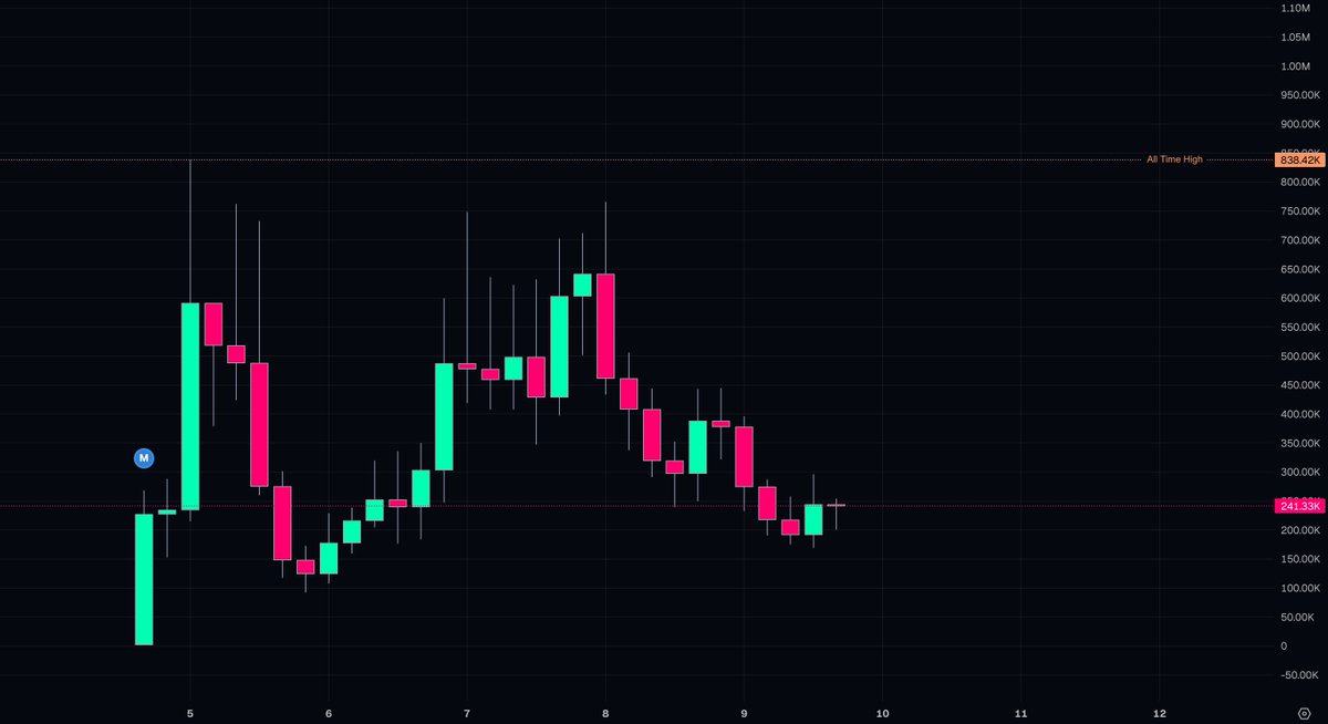 Lil Alpha tweet media