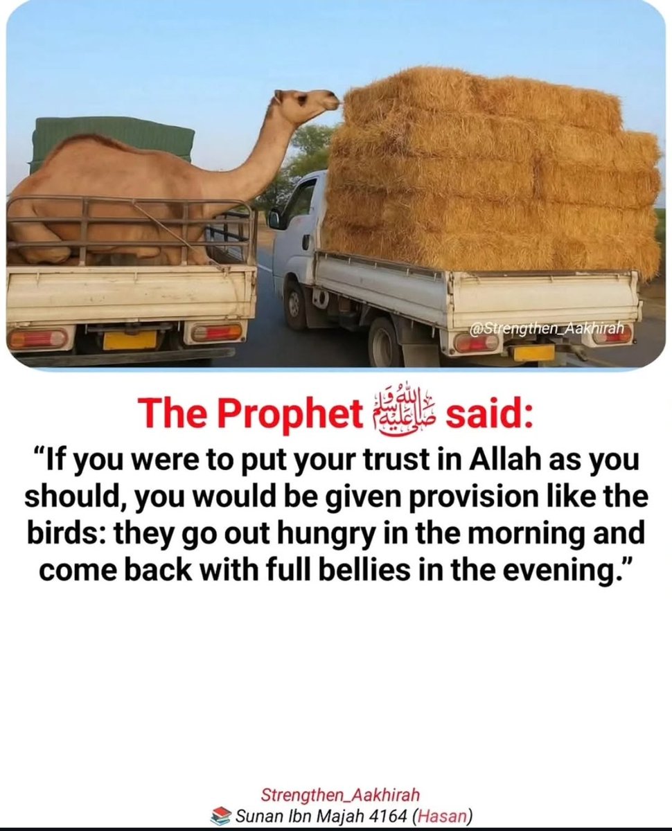 The prophet Muhammad ﷺ said;