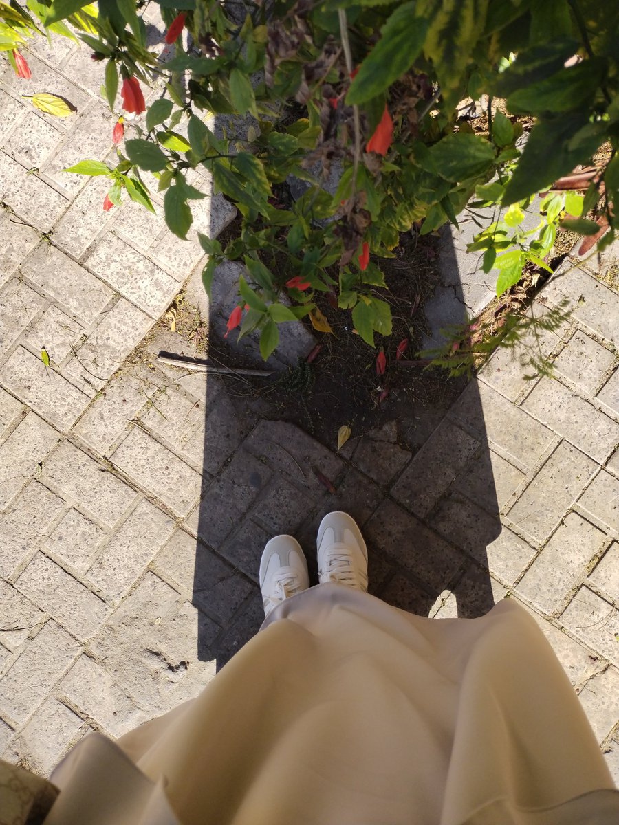 سَيْلٌ/ سلسبيلا في روايةٍ أخرى:) tweet media