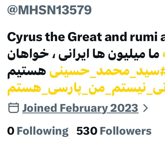 PersianMaah tweet media