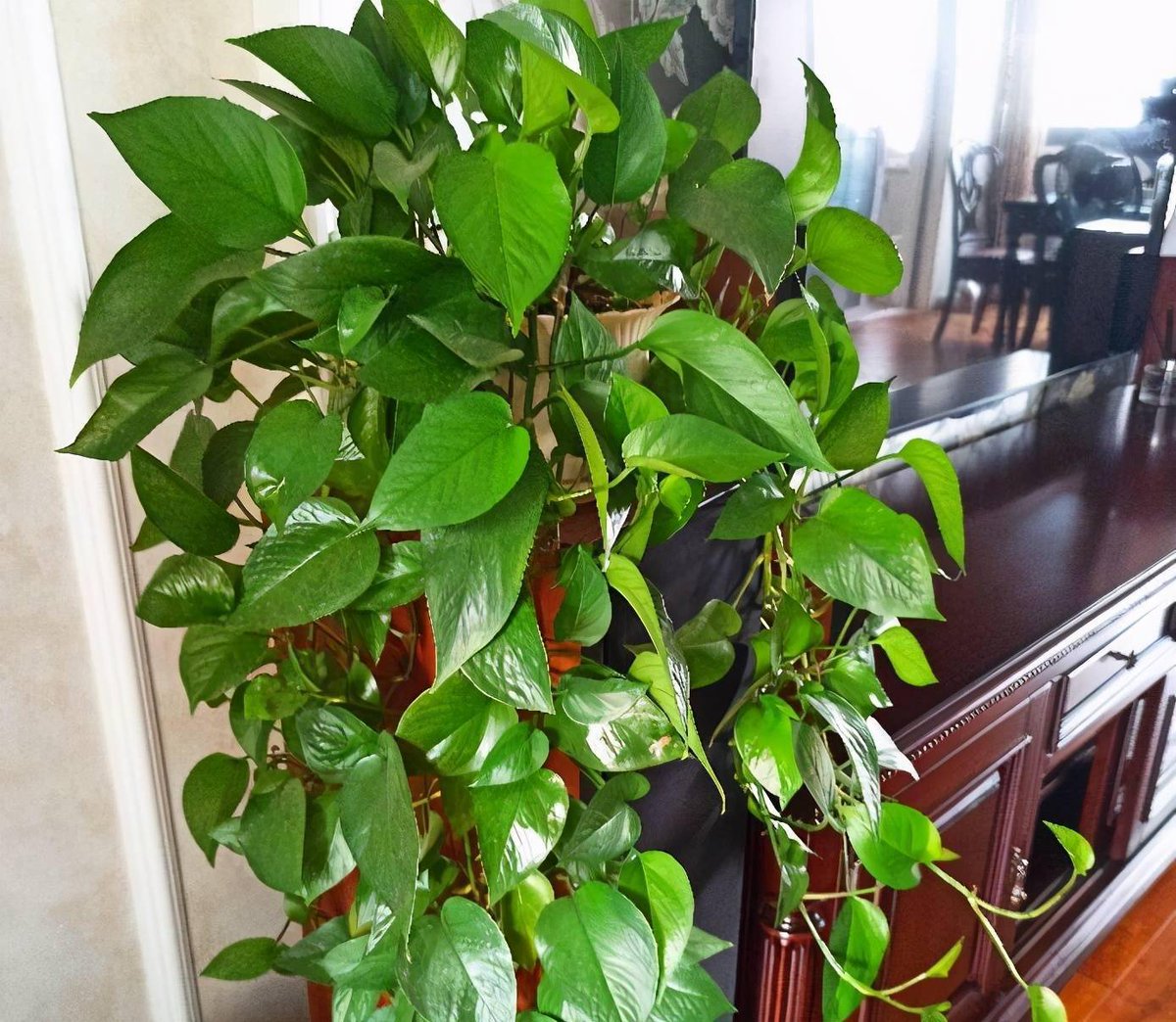 Robin Berry tweet media