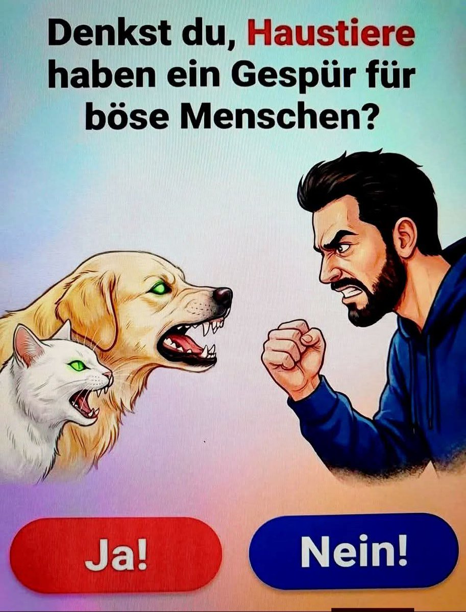 BabsiNRW🐕🐕🐦🐦 tweet media