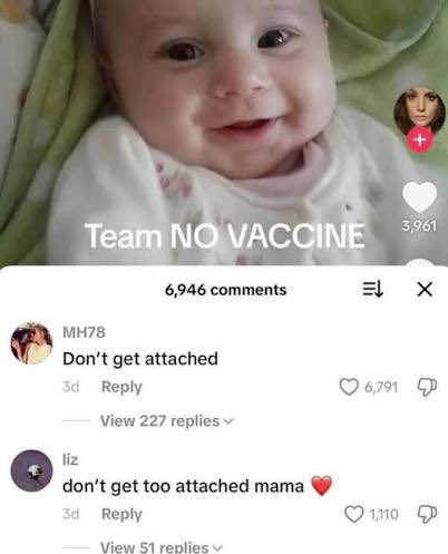 remi 🦭 tweet media