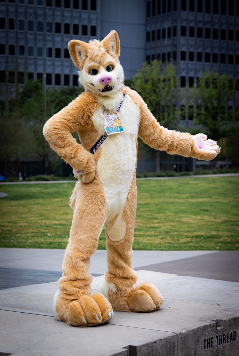 👑Prince of Barkness👑 🔜 FWA tweet media