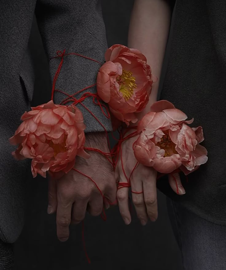 La ventana de Su tweet media