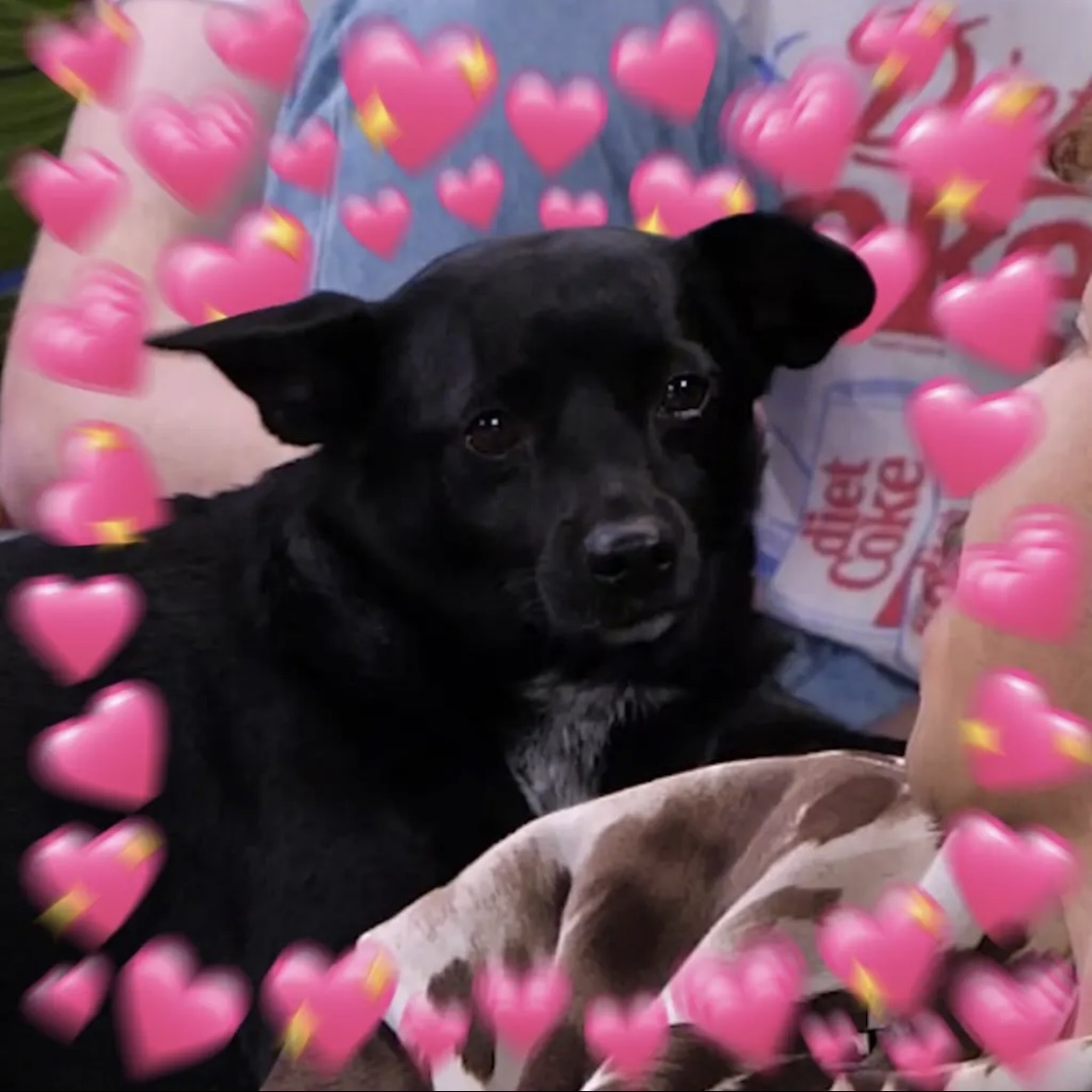 smosh ❯❯ base tweet media