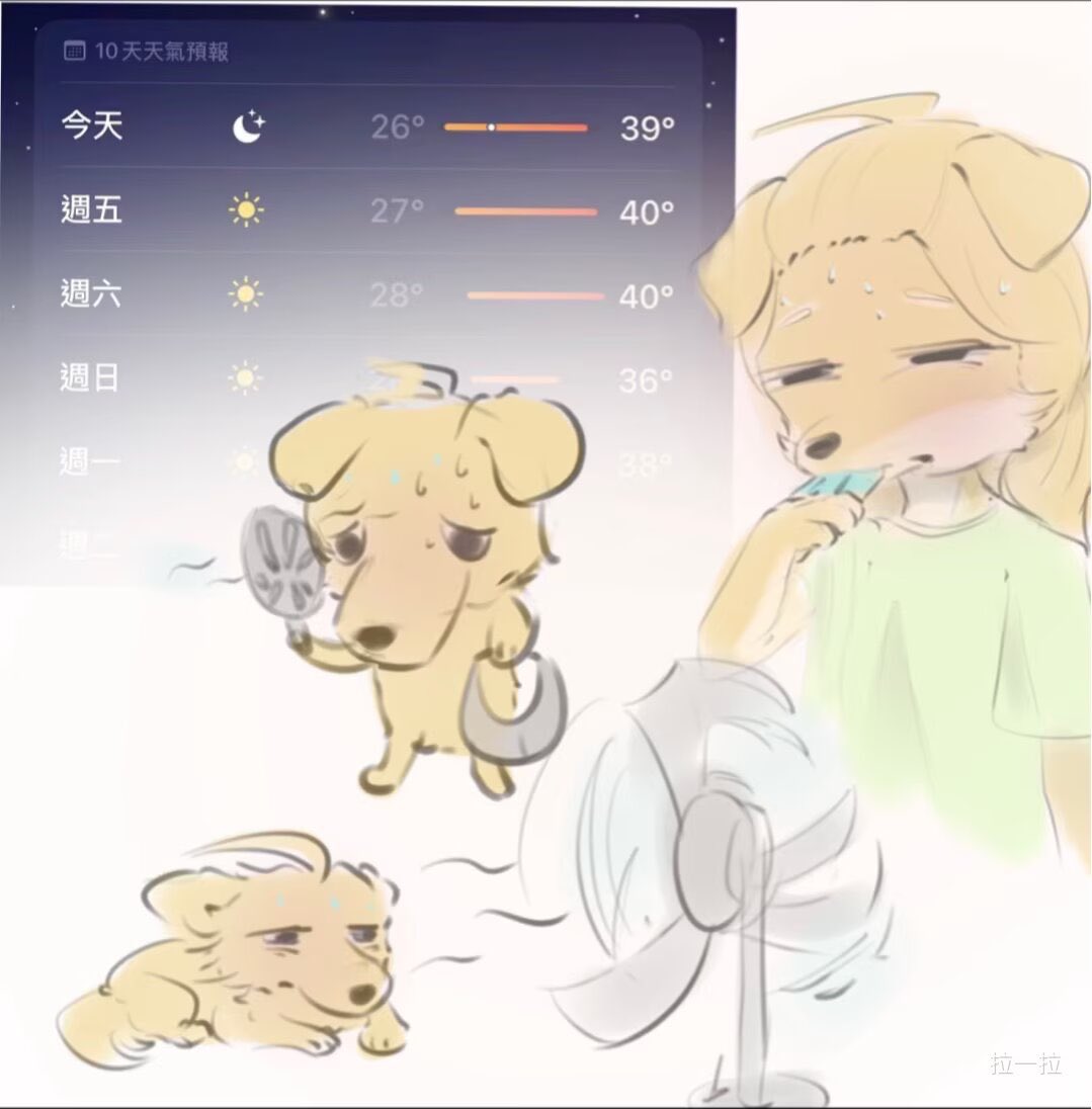 Lailah tweet media