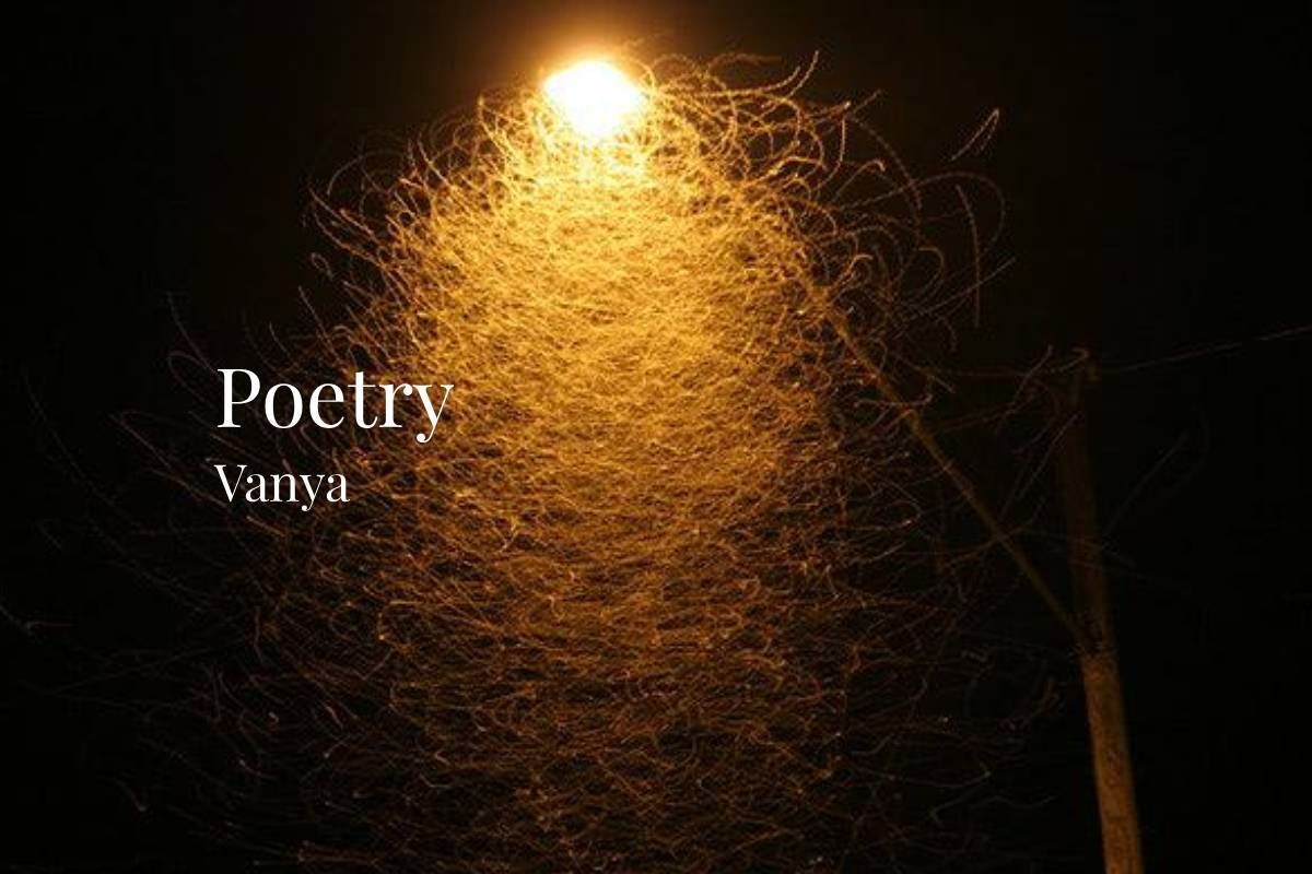 NoirBristol's tweet photo. Poetry by Vanya

https://t.co/lg30REFLwt

#poetry #flashfiction #shortstory #goodreads #readingcommunity #dirtyrealism #writingcommunity #publishingcommunity #bristolnoir #submisssionsopen #noir https://t.co/F9N7ZOqJiN