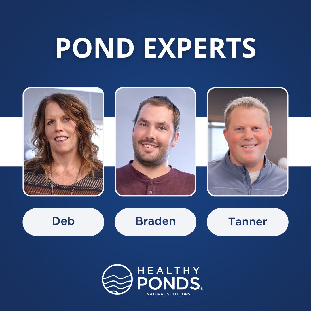 Healthy Ponds tweet media