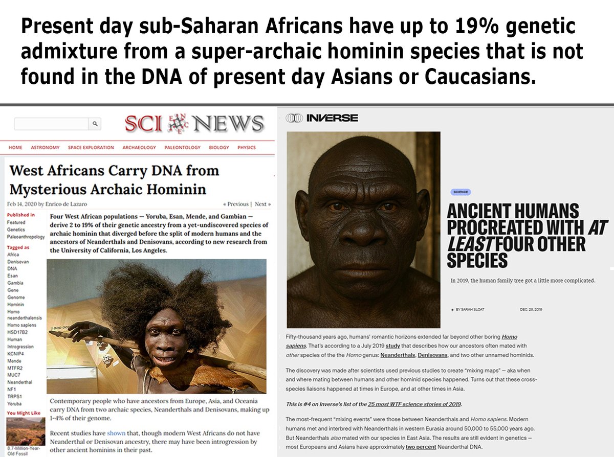 robertsepehr's tweet photo. Present-day sub-Saharan Africans trace up to 19% of their genetic ancestry (DNA) to an extinct super-archaic hominin species that pre-dates Neanderthal and Denisovans, and NOT found in the DNA of present-day Asians or Caucasians.

Out of Africa Debunked 
https://t.co/4hx4RZ66Ne https://t.co/0RSCMByRbh