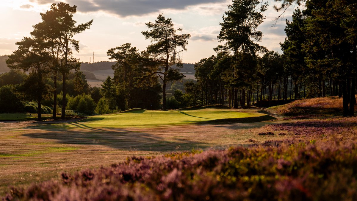 BeauDesertGolf's tweet photo. Warmer weather arriving across our heathland has us looking forward to the months ahead. We cannot wait to see how amazing the course will look with that vibrant purple of heather framing the fairways and greens once again. https://t.co/7HwhjXx4D1