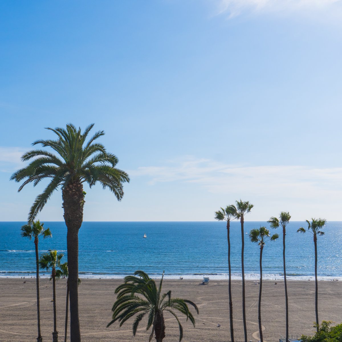 GoSantaMonica's tweet image. (Almost) too good to be true 🥹🩵

#santamonica #beach #california