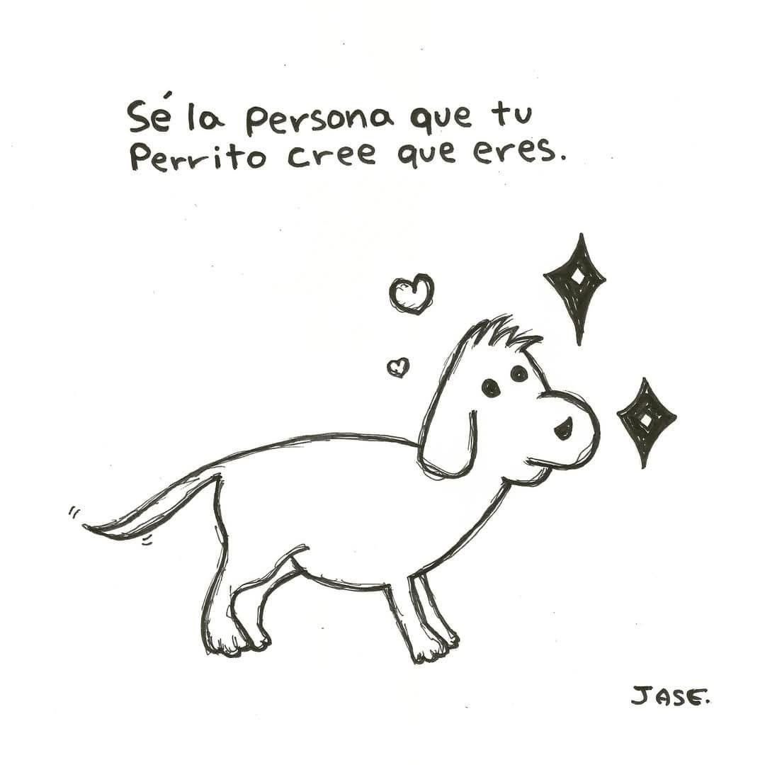 💖 (@twaniimals) on Twitter photo 