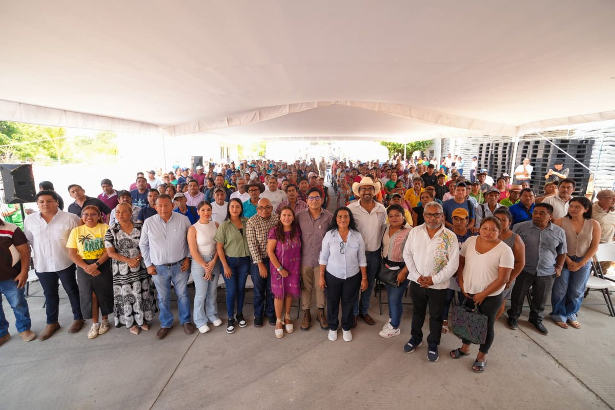 Destina Abelina López 4.5 mdp al traslado de fertilizante en comunidades rurales
sintesisdeguerrero.com.mx/2026/04/09/des…