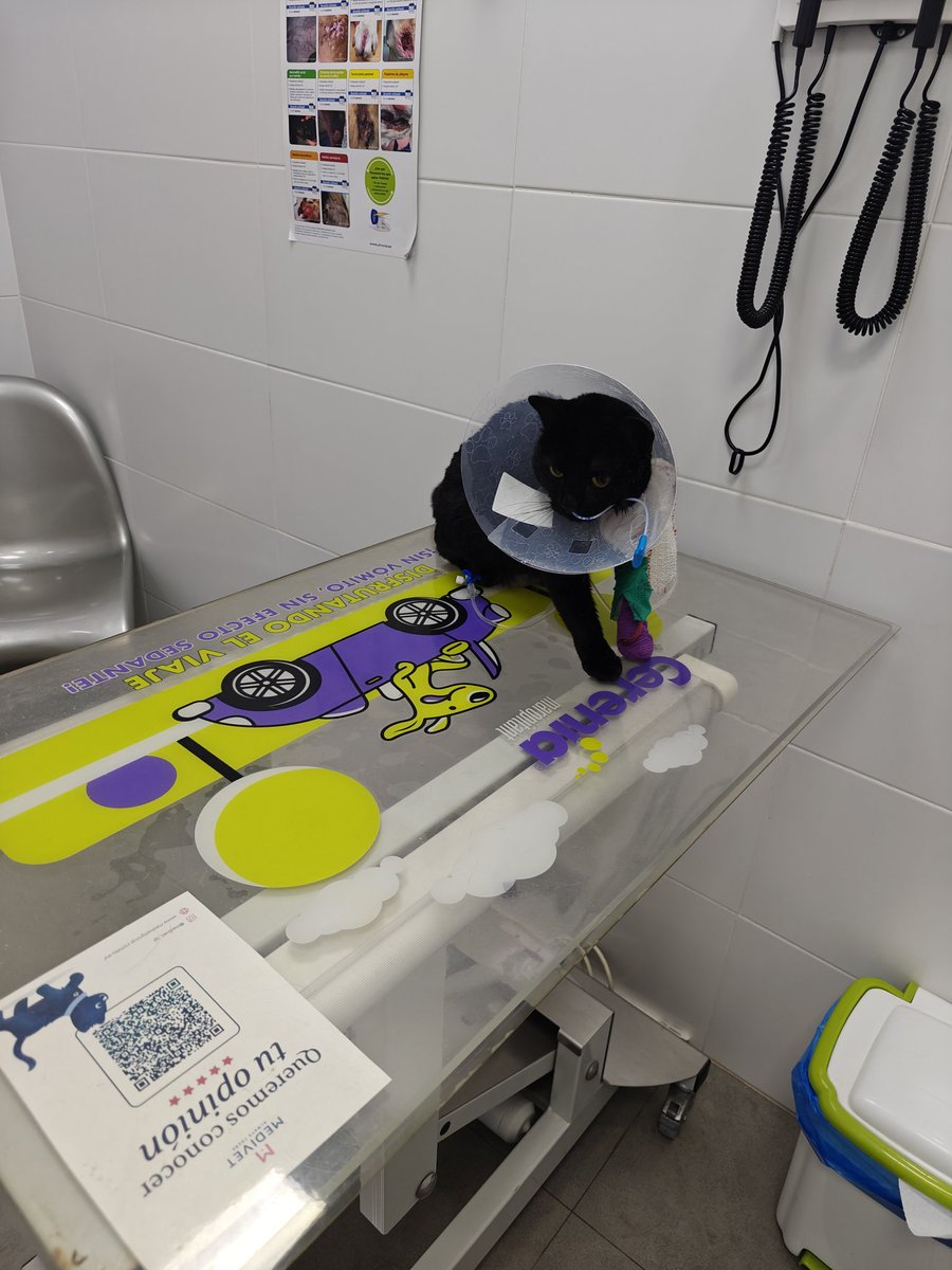 ☃️Oki Spooky Navideña🎄🎃🍁 tweet media