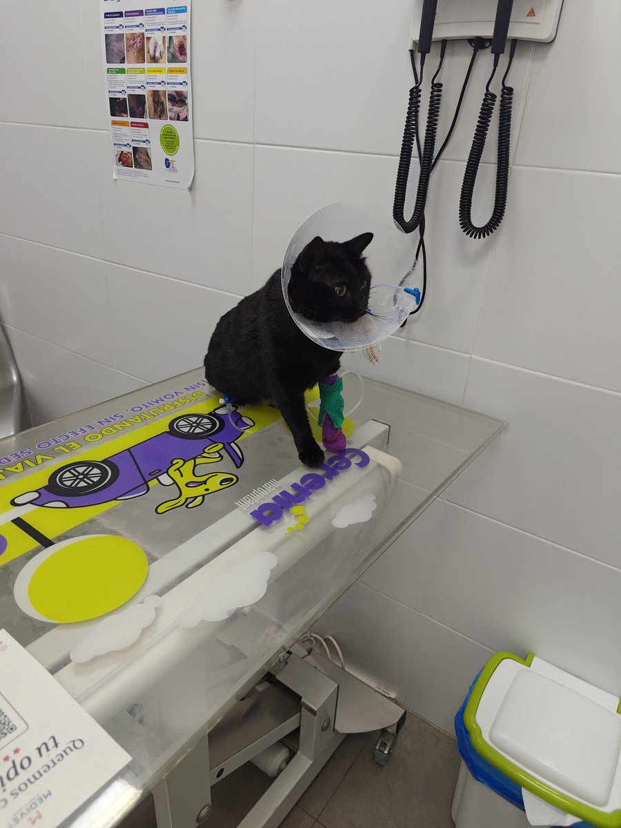 ☃️Oki Spooky Navideña🎄🎃🍁 tweet media