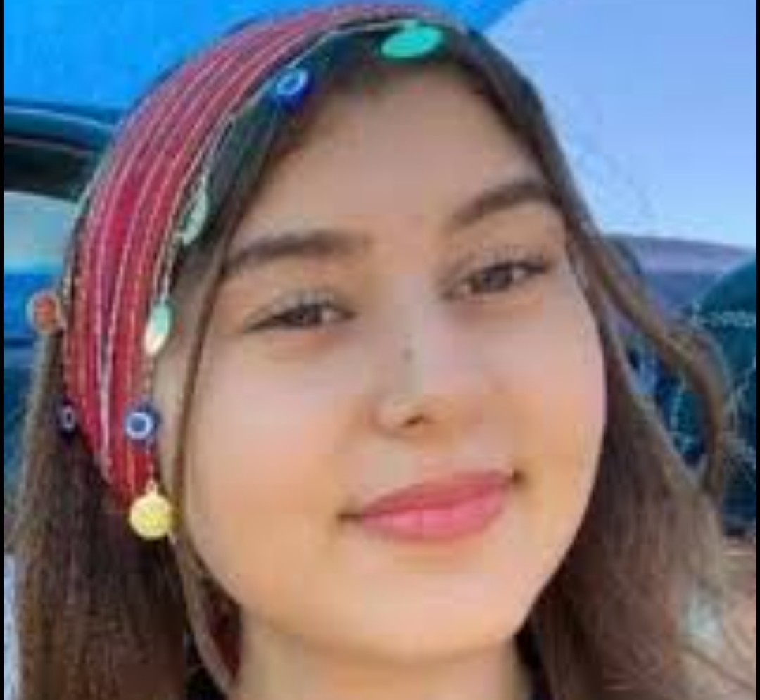 Serdar Arseven tweet media