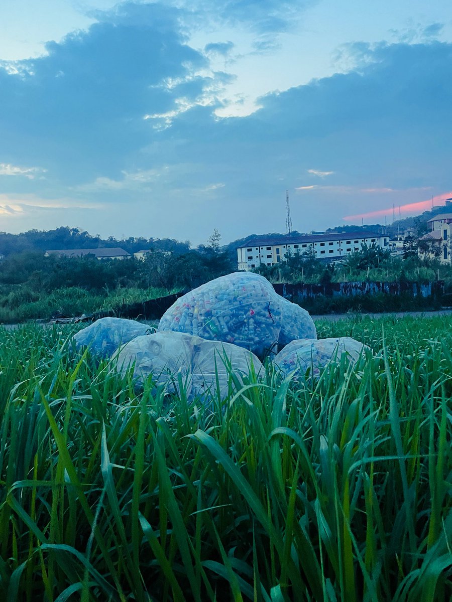 Elisha Ajiboye🩺📸 tweet media