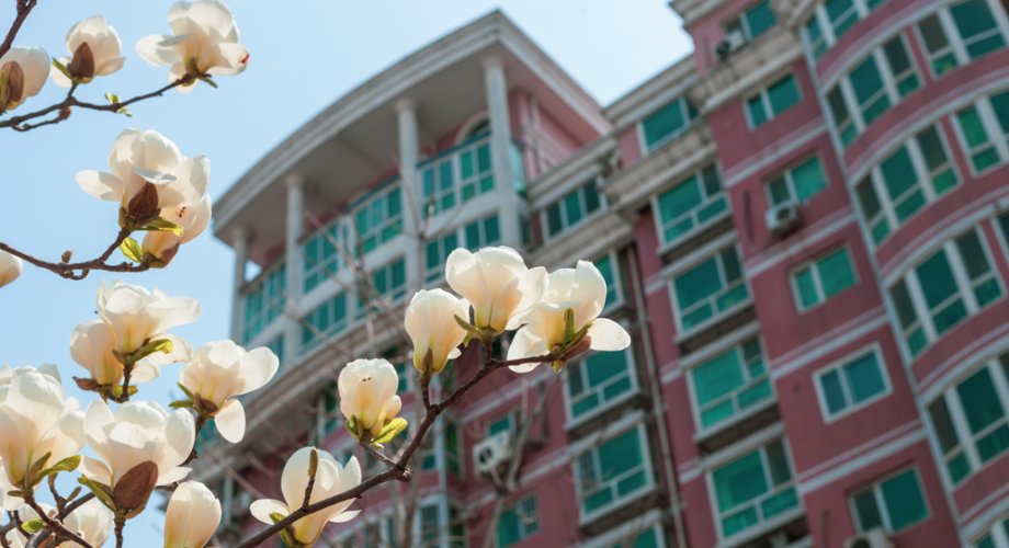 National Apartment Association tweet media