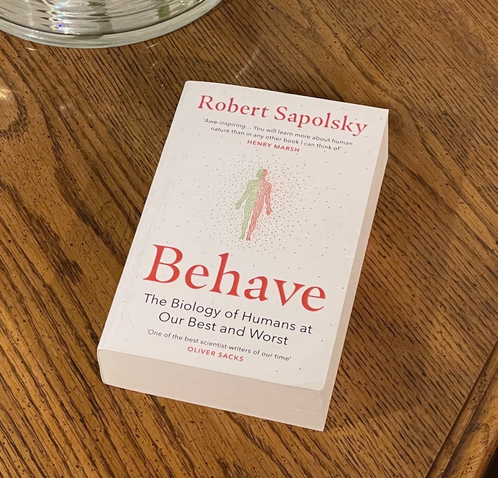 BookLab by Bjorn tweet media