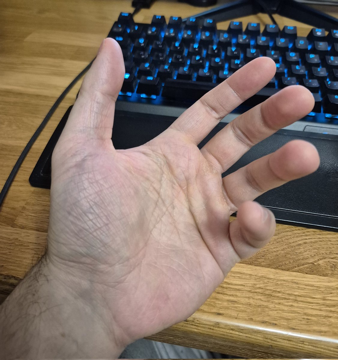 Zeār, your crazy lipn ᚛:3 🦁 𓃭 tweet media