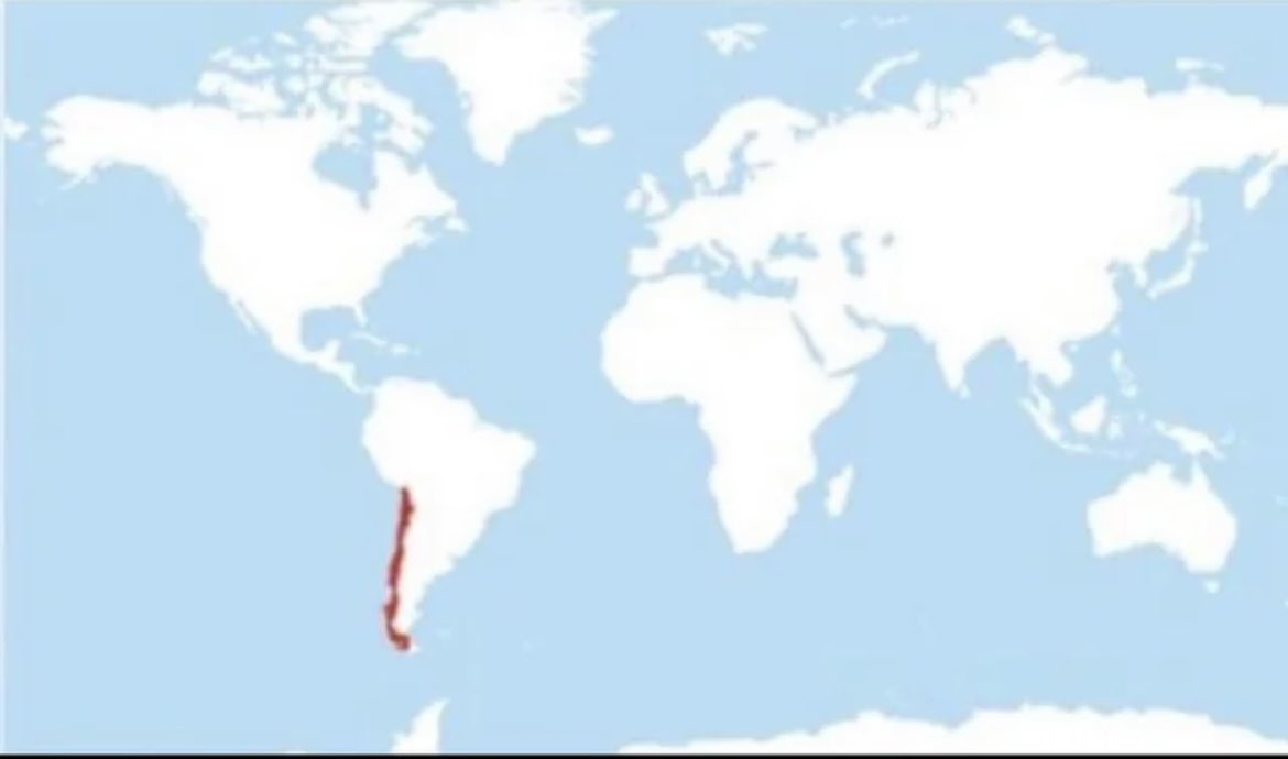 Rodrigo C R 10🎩 tweet media