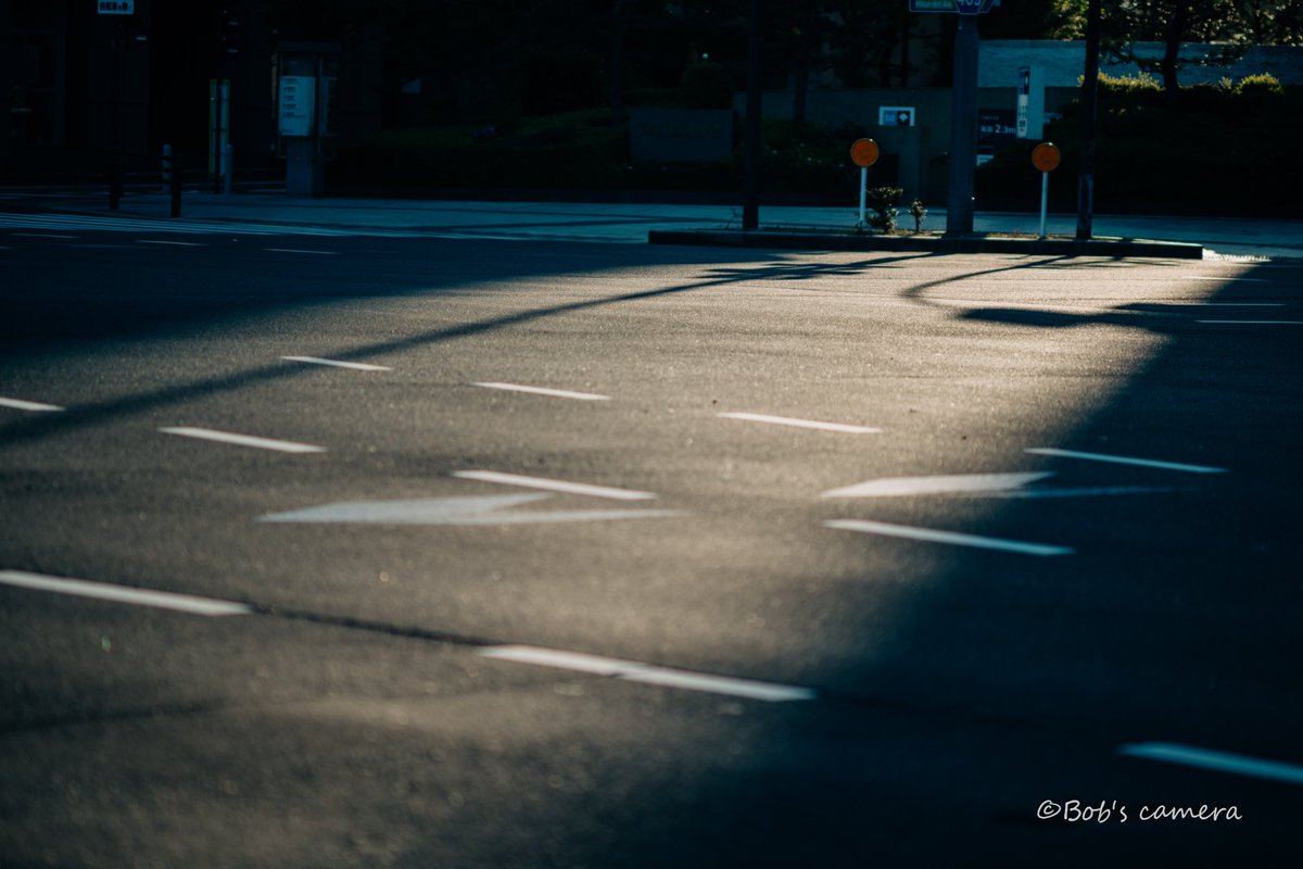 よボブ tweet media