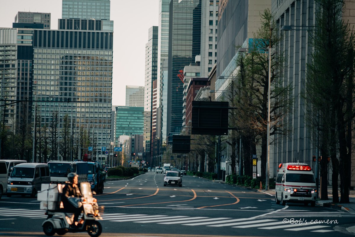 よボブ tweet media