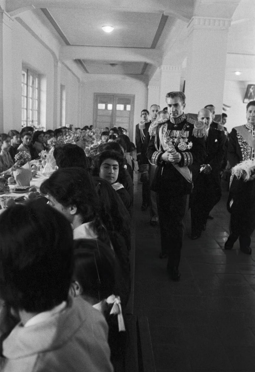 🇮🇷 ☼𓃬 | Polar boy tweet media