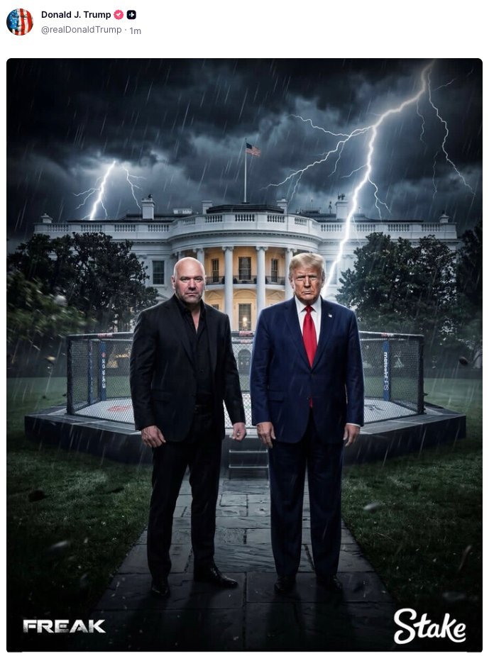 Keyboard Monkey -KBM- tweet media