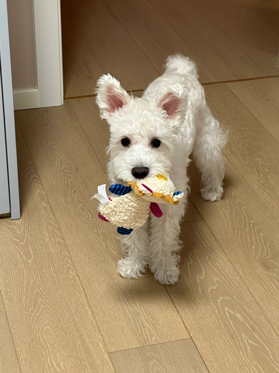 Deanne Lugg tweet media