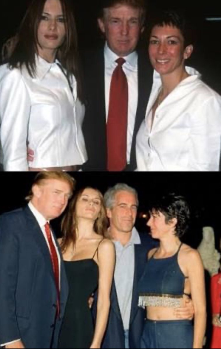 Pattunia tweet media